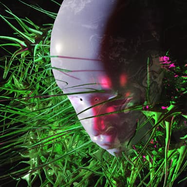 artist image