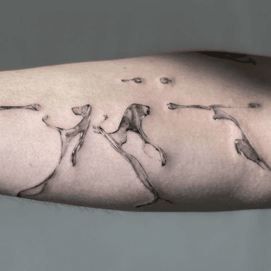 artist image