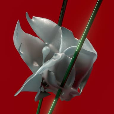 artist image