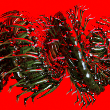 artist image