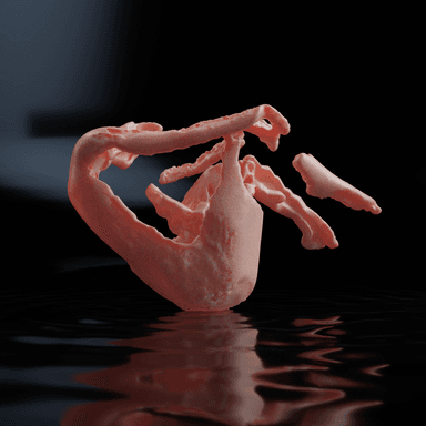 artist image